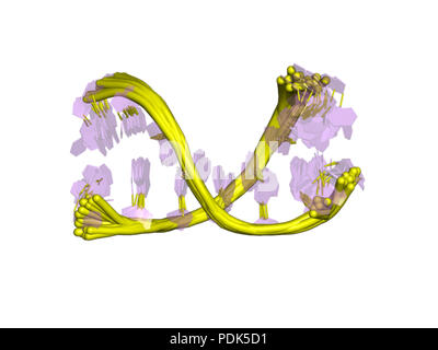 16 PDB 1byx EBI Foto Stock