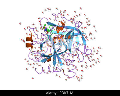 32 PDB 1ets EBI Foto Stock