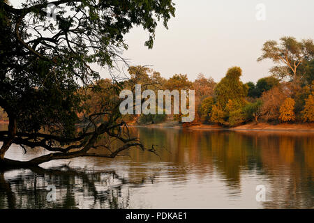 Piscina, Parco Nazionale di Mana Pools. Zimbabwe Foto Stock