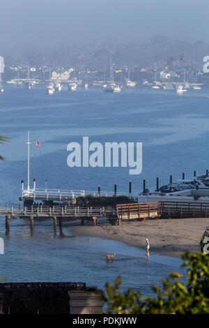 Una donna che gioca con un cane sulla spiaggia la mattina presto in Newport Harbor Orange County in California USA Foto Stock