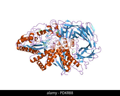 262 PDB 3bui EBI Foto Stock