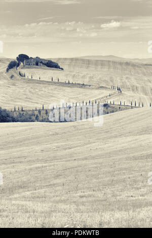 Rappresentazione stilizzata della abbandonato vecchia casa nelle colline della Toscana con cipressi sulla strada Foto Stock