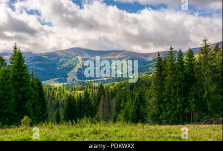 Bellissimo paesaggio con colline boscose. Autumn Landscape in splendide giornate di sole e nuvole basse appesa sopra la montagna distante Foto Stock