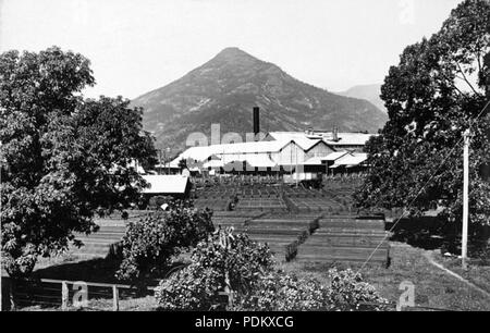 101 Queensland Archivi di Stato 1222 Mulgrave Central Sugar Mill Piramide Gordonvale Mountain in background vicino a Cairns c 1935 Foto Stock