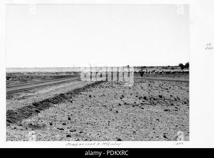 115 Queensland Archivi di Stato 4421 pecore sulla strada per McKinlay 1952 Foto Stock