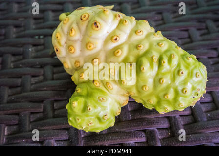 Morinda citrifolia, comunemente noto come grande morinda, gelso indiano, spiaggia del gelso, Tahitian Noni, formaggio, frutta o noni, su un tavolo Foto Stock