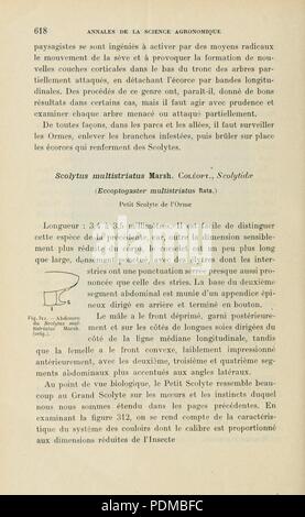 Annales de la science agronomique française et étrangère (pagina 618) Foto Stock