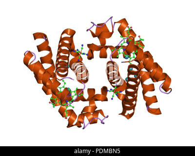 125 PDB 1ury EBI Foto Stock