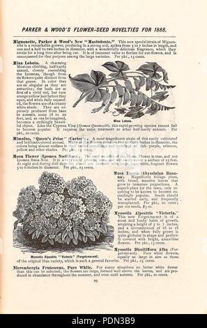 Illustrato annuale, catalogo descrittivo di semi, piante, vigneti, piccoli frutti
