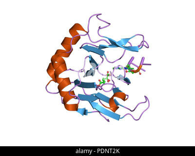187 PDB 2fdk EBI Foto Stock