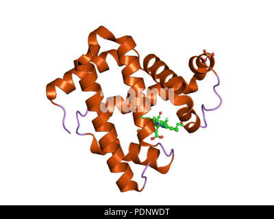 191 PDB 2g14 EBI Foto Stock
