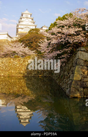 Il castello di Himeji in primavera, nella prefettura di Hyogo, Giappone Foto Stock