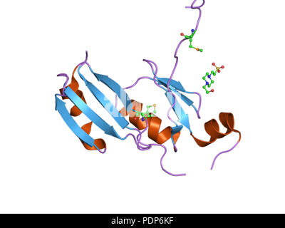 234 PDB 2qnt EBI Foto Stock
