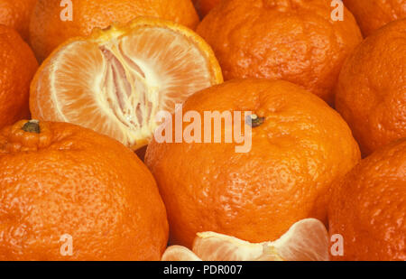 Raccolte di mandarini (Citrus reticulata ) Foto Stock