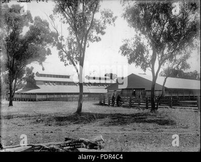 78 più grande capannone di lana in Australia, Warrah Stazione (2962975369) Foto Stock