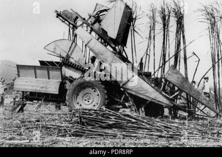 84 La raccolta meccanica di canna da zucchero nella zona Bauple circa 1935 Foto Stock