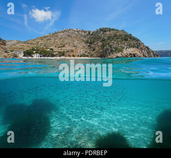 Spiaggia e costa rocciosa con una scuola di pesce Atherina subacquea, vista suddivisa al di sopra e al di sotto della superficie, mare Mediterraneo, Cala Granadella, Javea, Spagna Foto Stock