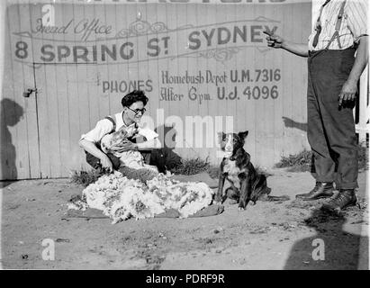 131 10271 SLNSW dimostrazione di tosatura RA Rooney appaltatori di taglio testa 8 ufficio Spring Street Sydney Foto Stock