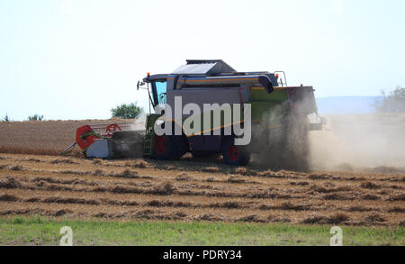 Mähdrescher bei der Weizenernte auf einem trockenen staubigen Feld Foto Stock