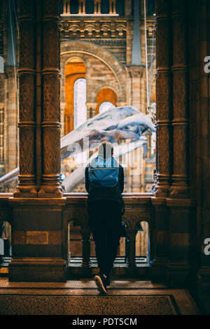 Museo di Storia Naturale di Londra Foto Stock