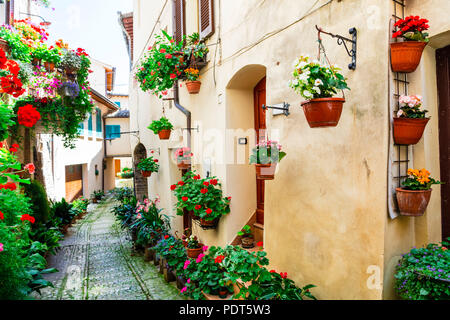 Bella Spello village,Visualizza case con la decorazione floreale,Umbria,Italia Foto Stock
