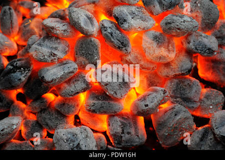 Masterizzazione di un fuoco di carbone Foto Stock
