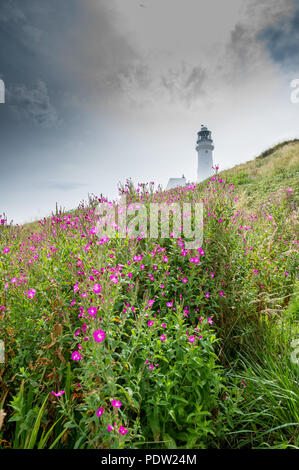 Il nuovo Flamborough Head Lighthouse. Foto Stock