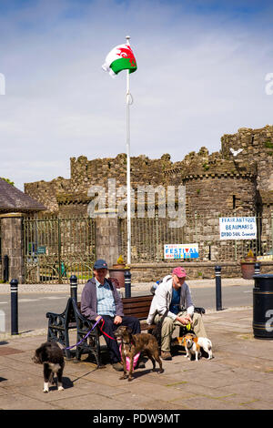 Nel Regno Unito, in Galles, Anglesey, Beaumaris, i visitatori si sedette sul banco in centro città al di fuori del castello Foto Stock