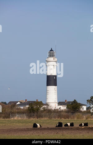 Faro, Kampen, Sylt, Nord isola frisone, Frisia settentrionale, Schleswig-Holstein, Germania, Europa Foto Stock