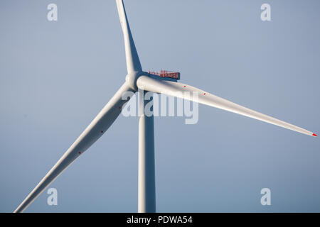 MHI Vestas V164-8.0MW turbine eoliche sulla estensione Walney Offshore wind farm, il più grande del mondo offshore wind farm. Le turbine sono uno dei più potenti turbine in tutto il mondo Foto Stock