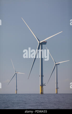 MHI Vestas V164-8.0MW turbine eoliche sulla estensione Walney Offshore wind farm, il più grande del mondo offshore wind farm. Le turbine sono uno dei più potenti turbine in tutto il mondo Foto Stock