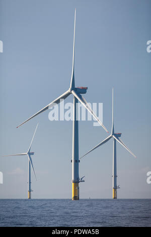 MHI Vestas V164-8.0MW turbine eoliche sulla estensione Walney Offshore wind farm, il più grande del mondo offshore wind farm. Le turbine sono uno dei più potenti turbine in tutto il mondo Foto Stock