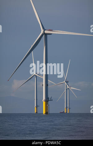 MHI Vestas V164-8.0MW turbine eoliche sulla estensione Walney Offshore wind farm, il più grande del mondo offshore wind farm. Le turbine sono uno dei più potenti turbine in tutto il mondo Foto Stock