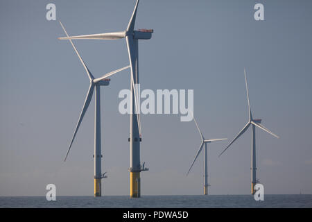 MHI Vestas V164-8.0MW turbine eoliche sulla estensione Walney Offshore wind farm, il più grande del mondo offshore wind farm. Le turbine sono uno dei più potenti turbine in tutto il mondo Foto Stock