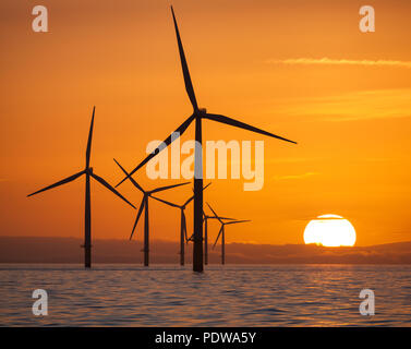 Le turbine eoliche di Walney Offshore Wind Farm nel Mare d'Irlanda presso sunrise Foto Stock