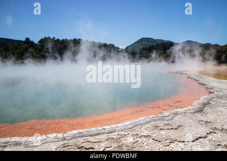 Champagne pool a Waiotapu, Nuova Zelanda Foto Stock