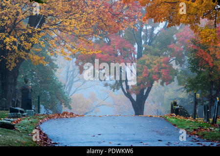 Cimitero di autunno, Saco, Maine, Stati Uniti d'America. Foto Stock