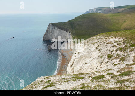 Guardando verso il basso a una spiaggia, dalle scogliere in una giornata di sole a porta di Durdle, con i pipistrelli in testa la distanza Foto Stock