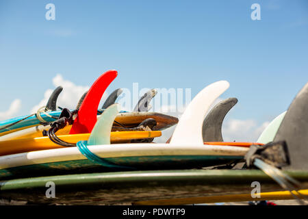 Molti singola aletta surf longboard con surf guinzaglio pronto per l'affitto. Buon divertimento su grandi onde in mare aperto. Moderno stile di vita familiare, persone sport d'acqua adv Foto Stock