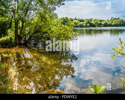 Una vista del lago a Neigh Bridge Country Park, nel Gloucestershire. Foto Stock