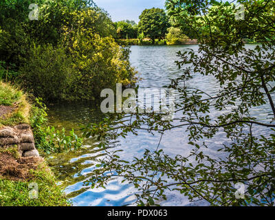 Una vista del lago a Neigh Bridge Country Park, nel Gloucestershire. Foto Stock