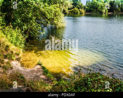 Una vista del lago a Neigh Bridge Country Park, nel Gloucestershire. Foto Stock