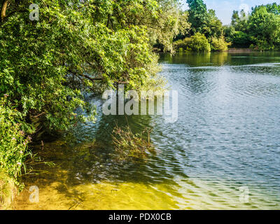 Una vista del lago a Neigh Bridge Country Park, nel Gloucestershire. Foto Stock