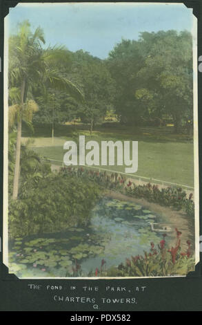 255 StateLibQld 1 242284 stagno nel parco di Charters Towers, piantate con ninfee e altre piante acquatiche Foto Stock