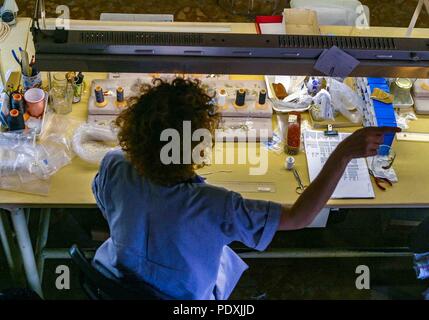 Manacor, Mallorca, Spagna. Xviii oct, 2004. Donne al lavoro nella perla Majorica fabbrica nella città di Manacor in spagnolo di Mallorca. La sua famosa man-made fabbricato le perle sono fabbricati qui in un delicato processo di produzione inventato nel 1890 che è visibile ai turisti. Credito: Arnold Drapkin/ZUMA filo/Alamy Live News Foto Stock