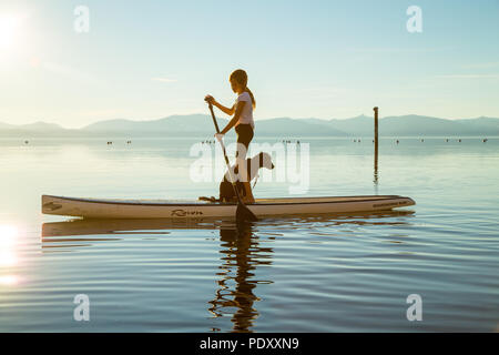 Una giovane ragazza e il suo cane su un pomeriggio Paddle Board Avventura sul lago Tahoe Foto Stock