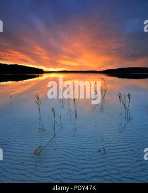 Grande lago Fürstensee con ance, acqua chiara con struttura ad onda nella sabbia, tramonto, nuvoloso umore, Müritz National Park Foto Stock