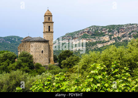San Martinu (Saint Martin's) Chiesa, patrimonio, Cap Corse, Corsica, Francia Foto Stock