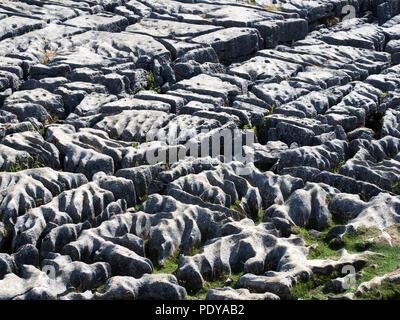 Modello di clints e grykes nella pavimentazione di pietra calcarea a Malham Cove vicino Malham Yorkshire Dales Inghilterra Foto Stock