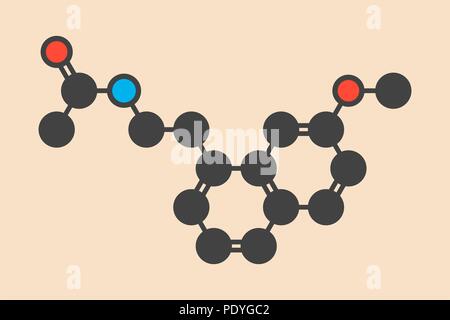 Agomelatine farmaco antidepressivo molecola. Stilizzata di scheletro di formula (struttura chimica): gli atomi sono mostrati come codificati per colore cerchi: idrogeno (nascosto), carbonio (grigio), Azoto (blu), Ossigeno (rosso). Foto Stock